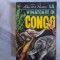 La vanatoare in Congo de Mihai Tican-Rumano