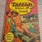 Tarzan Edgar Rice Burroughs ( carte de colorat )