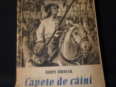 CAPETE DE CIINI-ALOIS JIRASEK-TRAD. K. FALTER-274 PG- foto