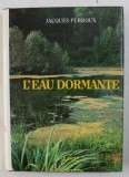 L&#039; EAU DORMANTE par JACQUES PERROUX DEDICATIE*