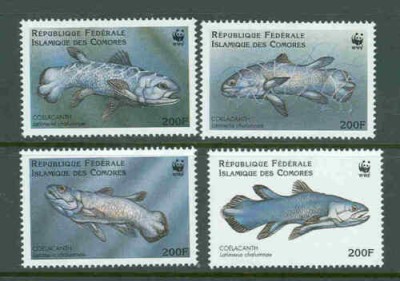 COMORES 1988 WWF FAUNA PROTEJATA PESTI foto