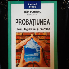 Ioan Durnescu - Probatiunea