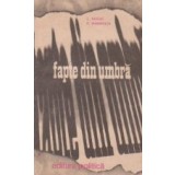Fapte din umbra, Volumul al IV-lea