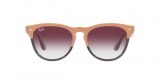 Ray-Ban Iris Ochelari de Soare RB 4471 6633/8H