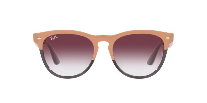 Ray-Ban Iris Ochelari de Soare RB 4471 6633/8H