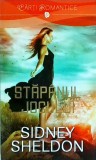 Sidney Sheldon - Stapanul jocului