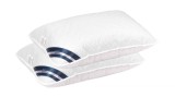 Cumpara ieftin Set 2 perne Hygiena Somnart, 50x70 cm, Antistatizanta, Hidrofilica, lavabile la 95&deg;C Relax KipRoom