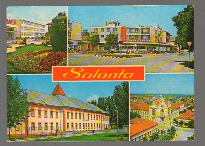 CPIB 17574 CARTE POSTALA - SALONTA, MOZAIC