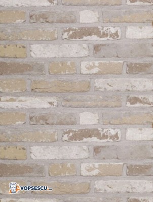 Coltar klinker Terca Rustica Oud Laethem, 21.5x6.5x2.3 cm foto