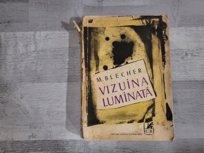 Vizuina luminata de M.Blecher