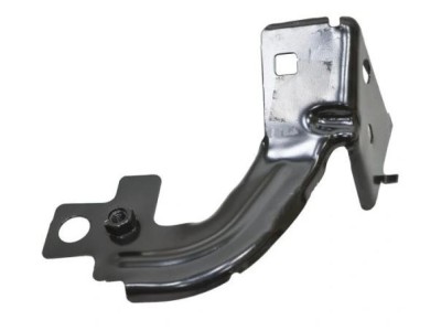 Ornament fixare aripa fata DODGE RAM (DS/DJ), 09.2008-, partea Stanga, foto