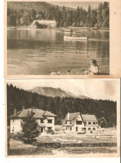 Lot 3 carti postale statiuni montane foto