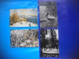 HOPCT LOT NR 382 PASARI DIN DELTA DUNARII-TULCEA-FAUNA-4 CARTI POSTALE-CIRCULATE