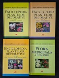 Enciclopedia plantelor decorative 1, 2, 3 + Flora medicinala a Romaniei &ndash; Mohan, Ardelean (4 vol.)