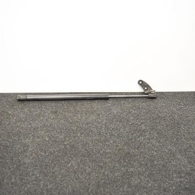 Amortizor capota dreapta față TESLA MODEL S 2015 OEM: 1955050460N 3608555 foto