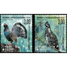 Cauti Vand Kuna Moneda Croata Vezi Oferta Pe Okazii Ro