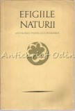 Efigiile Naturii - Petre Stoica, Mircea Tomus - Antologia Pastelului Romanesc - Minerva 1971 - Roman