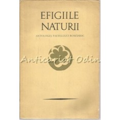 Efigiile Naturii - Petre Stoica, Mircea Tomus