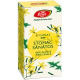 Stomac Sănătos Fares - Supliment Natural pentru Protecția și Refacerea Mucoasei Gastrice - 63 Capsule
