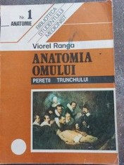 Anatomia omului Peretii trunchiului - Viorel Ranga