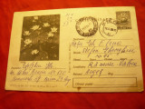 Carte Postala Ilustrata - Nuferi ,cod 562/64, Circulata, Printata