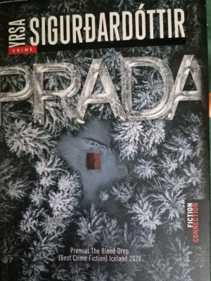 Prada de Yrsa Sigurdardottir foto