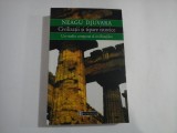 NEAGU DJUVARA -CIVILIZATII SI TIPARE ISTORICE