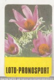 bnk cld Calendar de buzunar - 1984 - Loto Pronosport