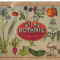 ATLAS BOTANIC cu 170 ilustratiuni colorate, Bucuresti