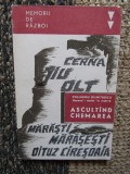 Ascultand chemarea (amintiri din primul razboi mondial) &ndash; Polihron Dumitrescu