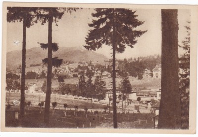 AMS - ILUSTRATA 1314, PREDEAL - VEDERE SPRE CIOPLEA, cu perforari foto