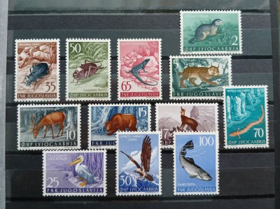 JUGOSLAVIA- FAUNA,ANIMALE--MNH/** foto
