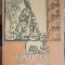 TINUTUL VRANCEI: ETNOGRAFIE, FOLCLOR, DIALECTOLOGIE. MIORITA IV-ION DIACONU-253821