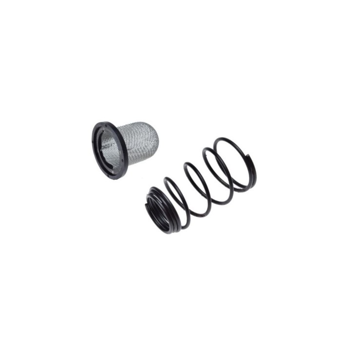 Filtru ulei si arc scuter GY6 4T