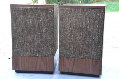 Boxe Bose model 501