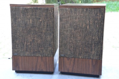 Boxe Bose model 501 foto