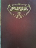 Viata lui Rafael- Herman Grimm, germana