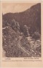 CP Colibita Valea Bistritii 1926, Circulata, Fotografie, Bistrita-Nasaud