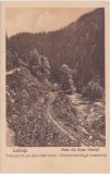 CP Colibita Valea Bistritii 1926, Circulata, Fotografie, Bistrita-Nasaud