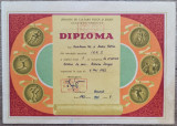 Diploma locul 1 orientare turistica de casa, Padurea Snagov// Bucuresti, 1959