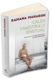Calea Maestrului Spiritual | Suri Nagamma