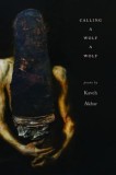 Calling a Wolf a Wolf, 2017
