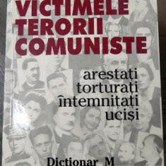 VICTIMELE TERORII COMUNISTE , VOLUMUL 6 , LITERA M de CICERONE IONITOIU , 2004