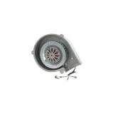 Motor ventilator pentru cuptor electric BOSCH 00751836 00097374 Original