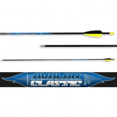 Set sageti arc Avalon Carbon Classic foto