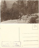 CP1903N Peisaj montan iarna, fotograf Paul Petrescu, carte poștală