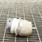 Suport motor st&acirc;nga AUDI Q7 4L 2011 OEM: 7L8199131F | 11834543