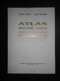 VIOREL RANGA, RADU DIMITRIU - ATLAS DE ANATOMIA OMULUI. SISTEMUL NERVOS CENTRAL