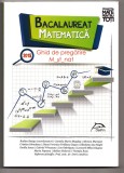 bacalaureat matematica 2018 ghid de pregatire m st nat colectia mate pentru toti resiga magdas muresan dimulescu naghi etc