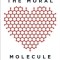 The Moral Molecule: How Trust Works